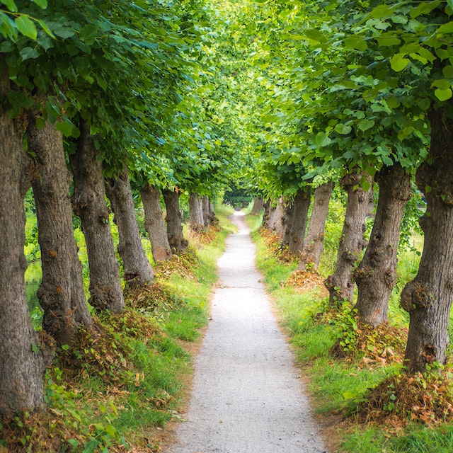 wim-van-t-einde-fAA-NKhBGZE-unsplash